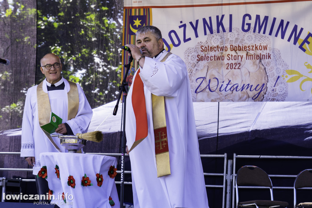 Dożynki w Dobieszkowie