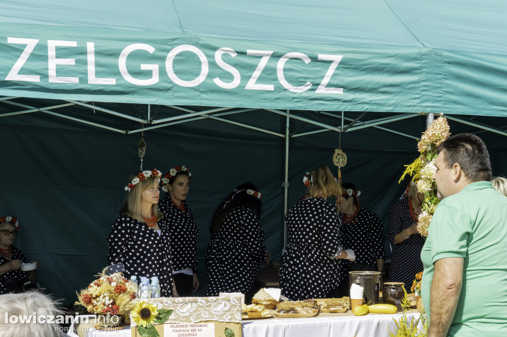 Dożynki w Dobieszkowie