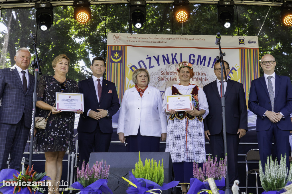 Dożynki w Dobieszkowie