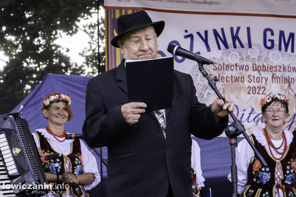 Dożynki w Dobieszkowie