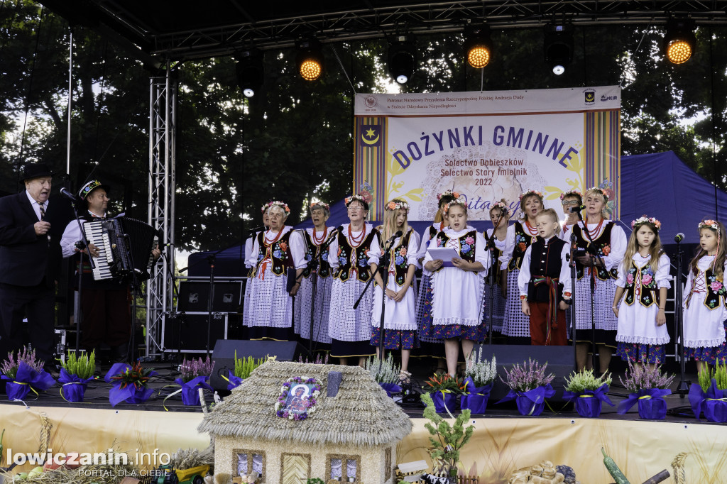 Dożynki w Dobieszkowie