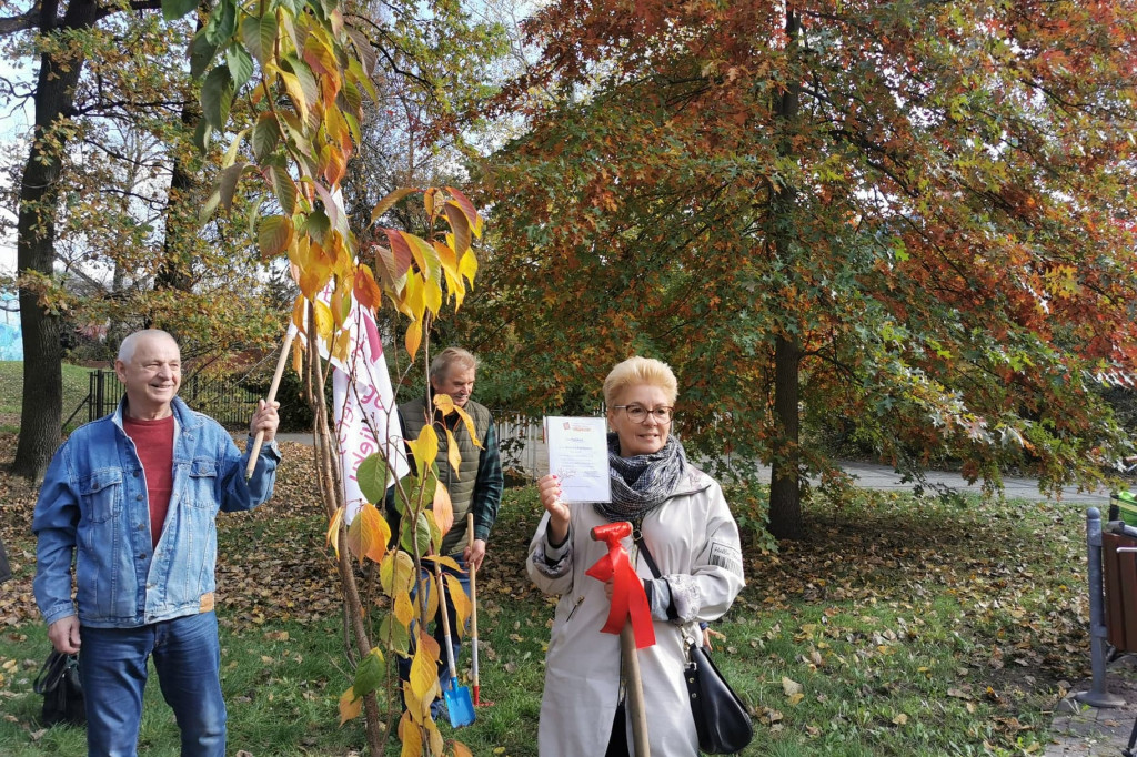15 wiśni japońskich na 15-lecie ŁUTW