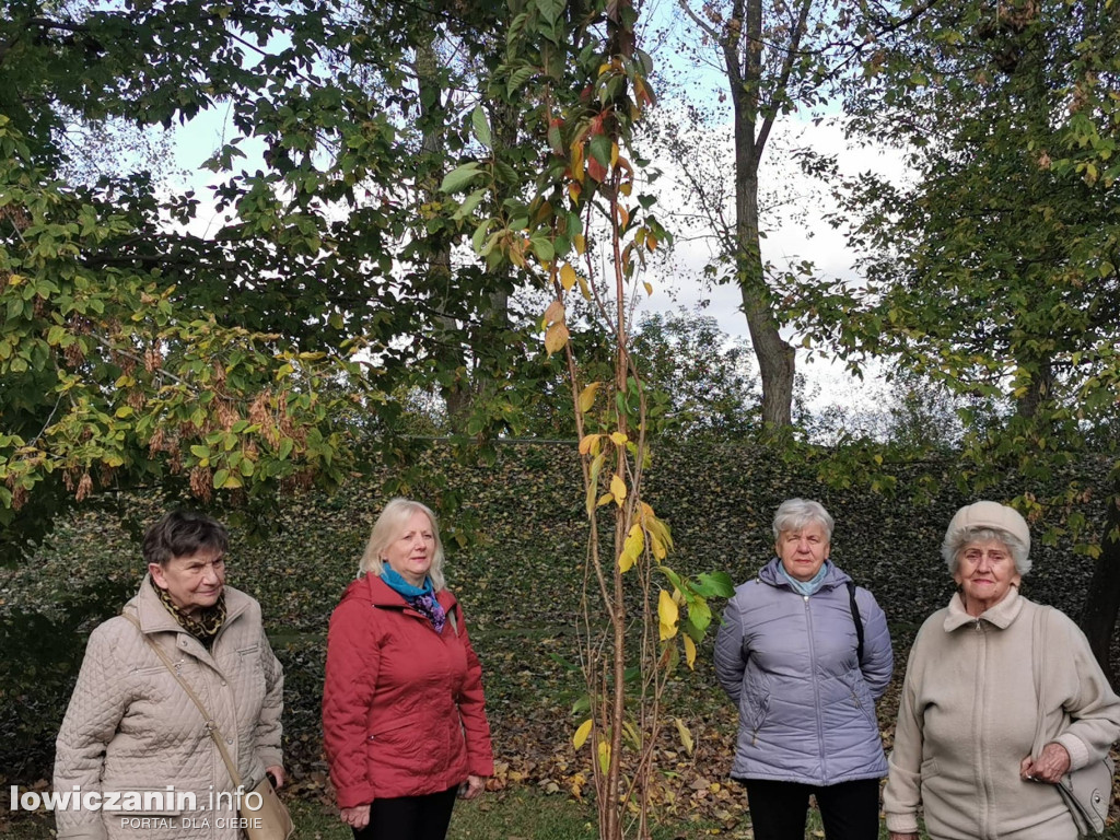 15 wiśni japońskich na 15-lecie ŁUTW