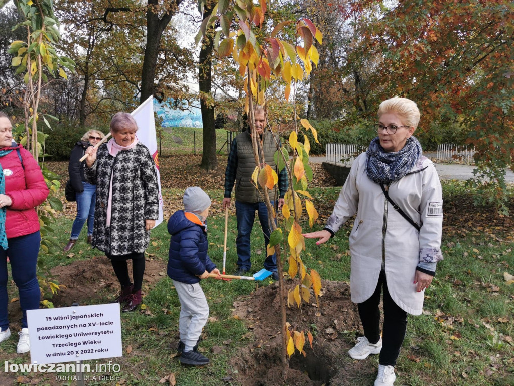 15 wiśni japońskich na 15-lecie ŁUTW