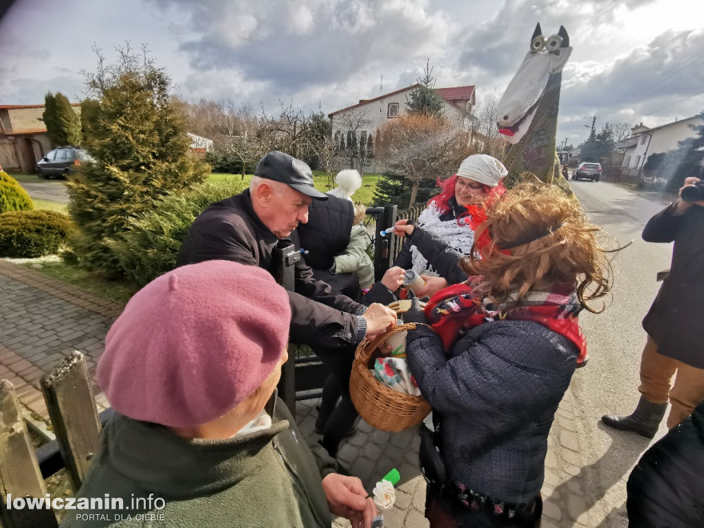 Chodzenie z misiem po Bobrownikach