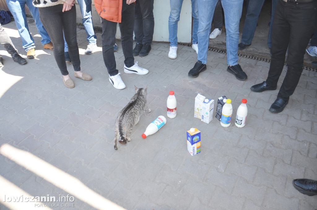 Lider AGROunii mówł o sytuacji producentów mleka