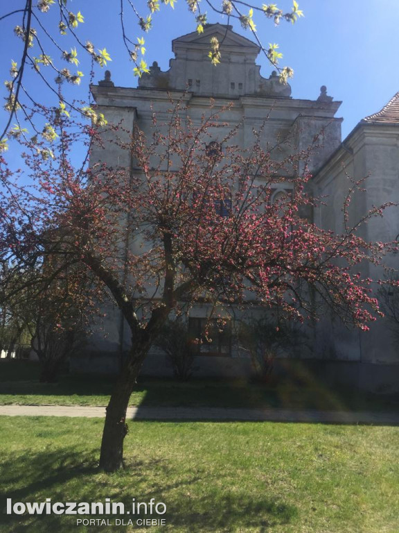 „Klasztor” w Łowiczu. Wiemy, co tam powstaje!