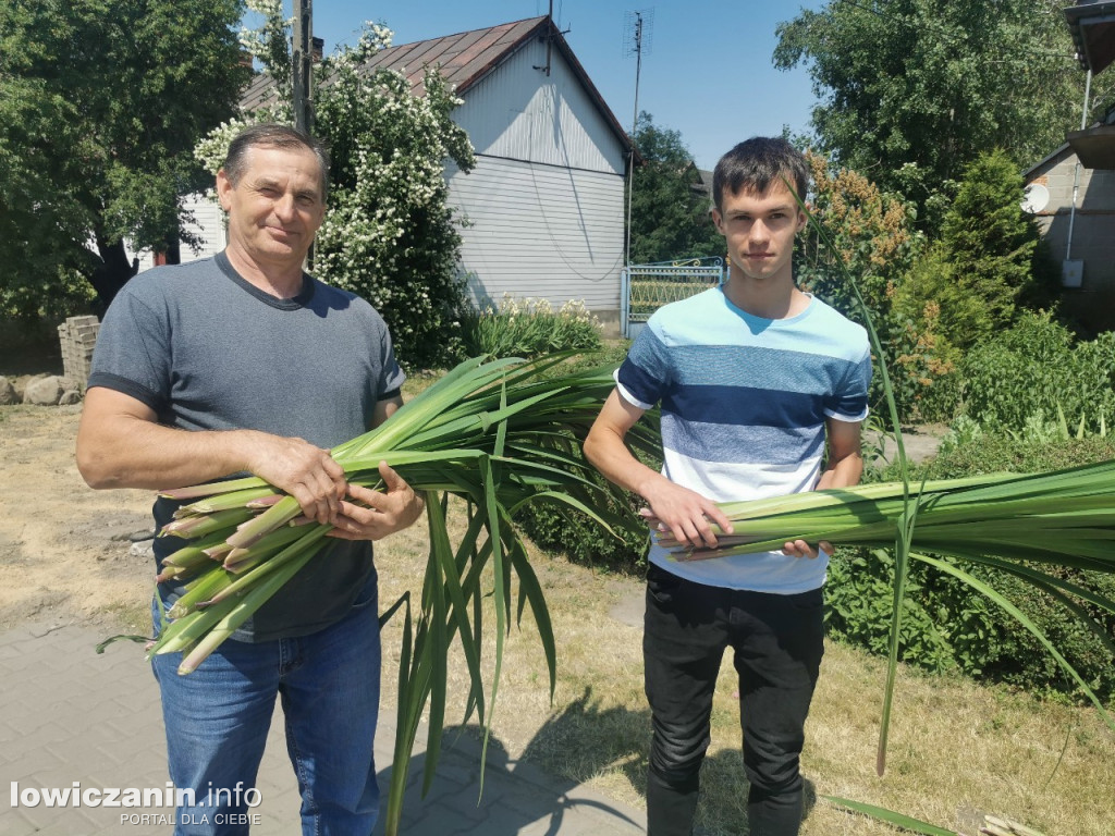 Po tataraku. Procesja Bożego Ciała w Złakowie