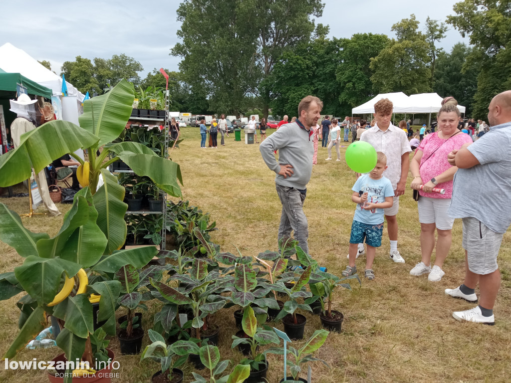 Festiwal Ogrodniczy w Nieborowie