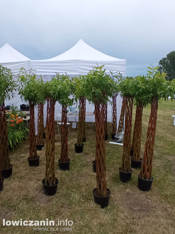 Festiwal Ogrodniczy w Nieborowie