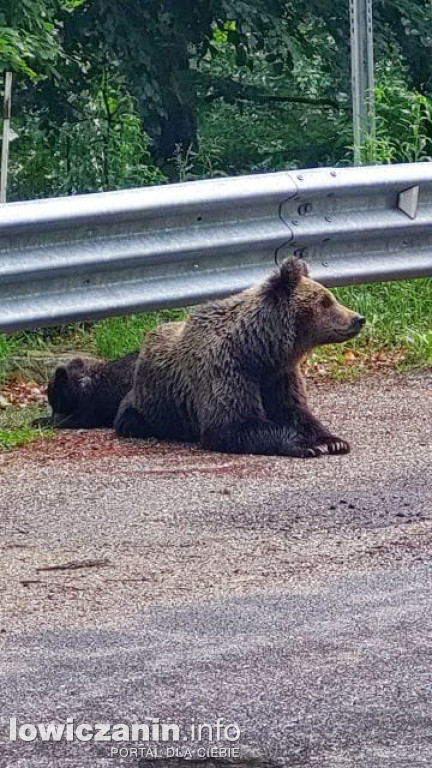 Łowiccy motocykliści na wyprawie do Turcji.