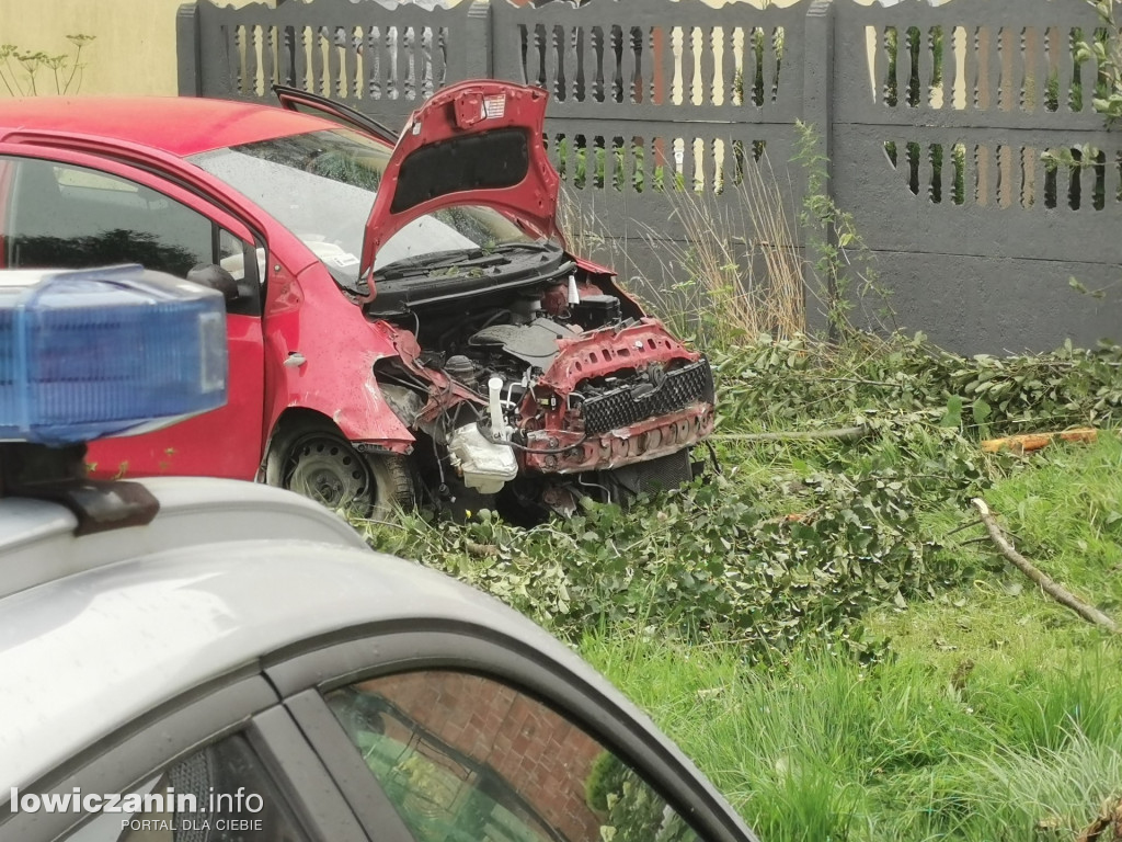 PARMA. Samochód zjechał z drogi i uderzył w ogrodzenie