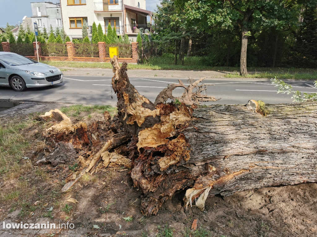Przewrócone drzewo przy ul. Armii Krajowej