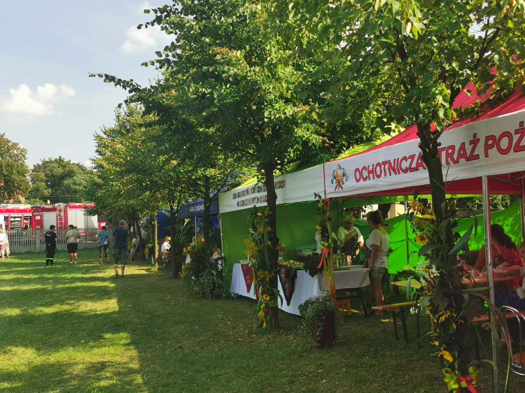 Ekopiknik w Łyszkowicach