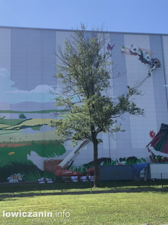 Mural na budynku Agrosu w Łowiczu