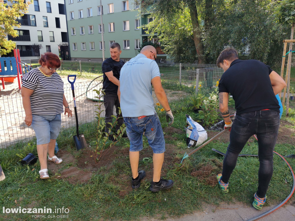 Akcja sadzenia roślin na Bratkowicach