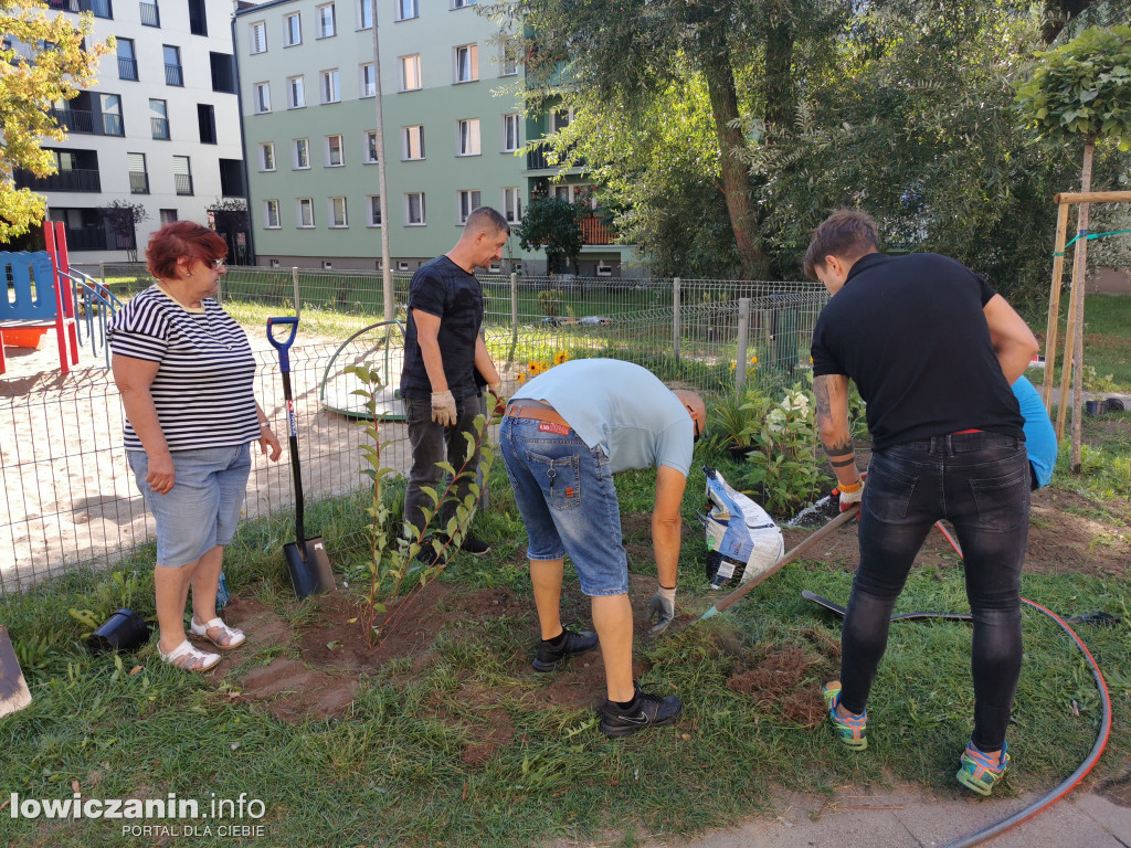Akcja sadzenia roślin na Bratkowicach