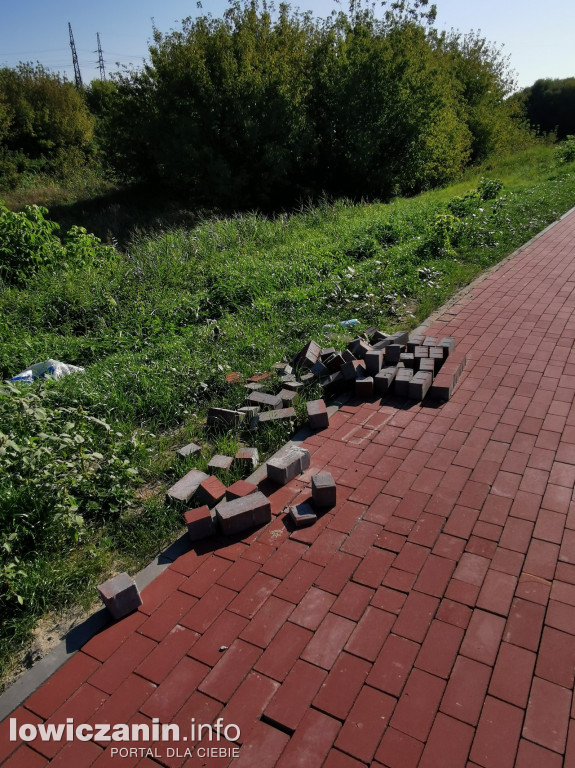 Budowa ścieżki rowerowej na wale przeciwpowodziowym