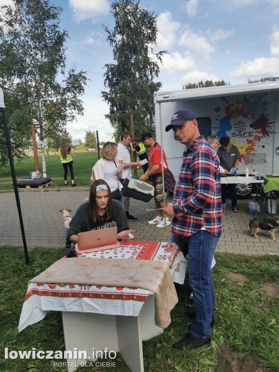 Akcja chipowania czworonogów w Lowiczu