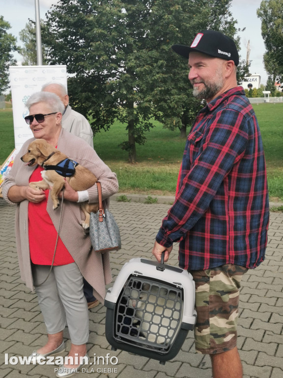 Akcja chipowania czworonogów w Lowiczu