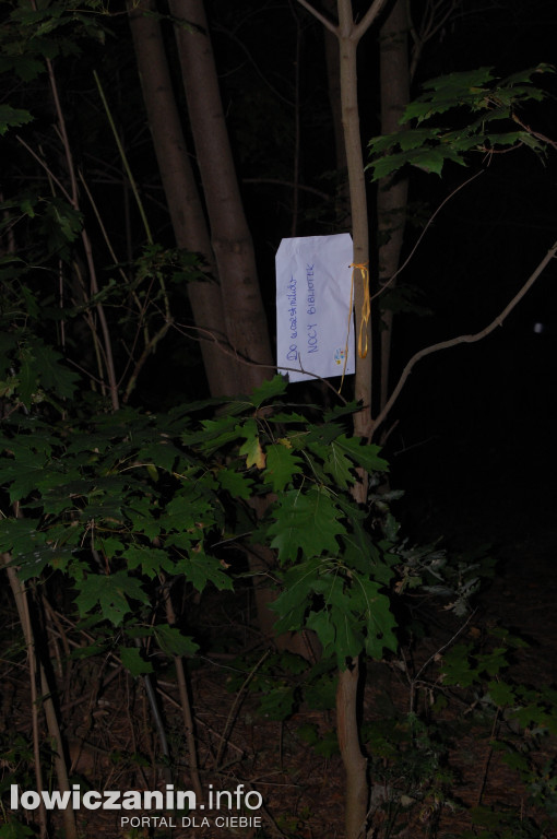 Nocny spacer z bajką w Domaniewicach