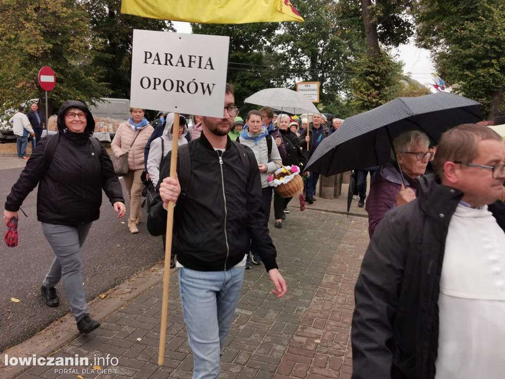 Domaniewice. Pielgrzymka Kół Żywego Różańca