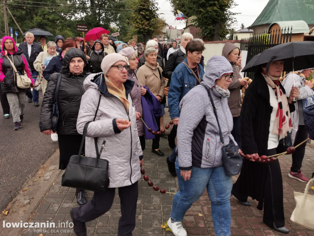 Domaniewice. Pielgrzymka Kół Żywego Różańca