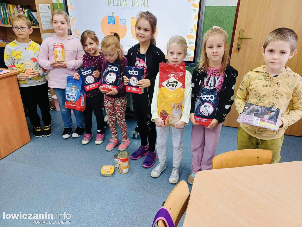 Paka dla zwierzaka