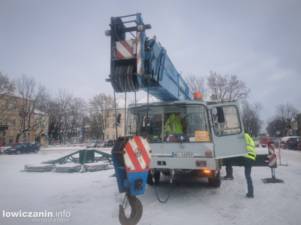 Choinka dotarła na Stary Rynek w Łowiczu