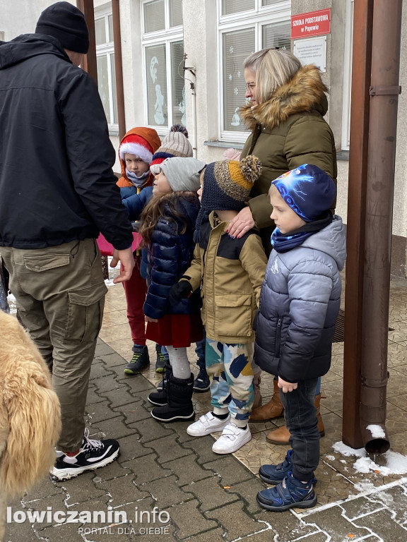 Spotkanie z alpakami w Przedszkolu w Popowie