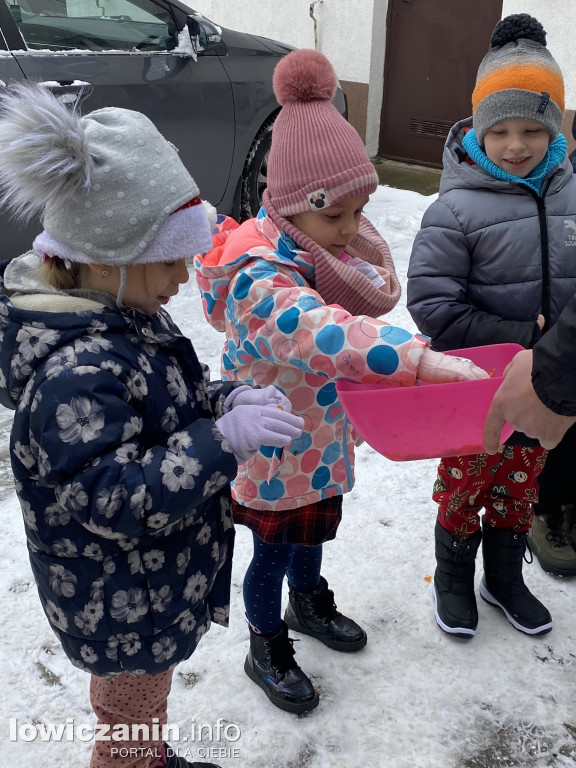 Spotkanie z alpakami w Przedszkolu w Popowie