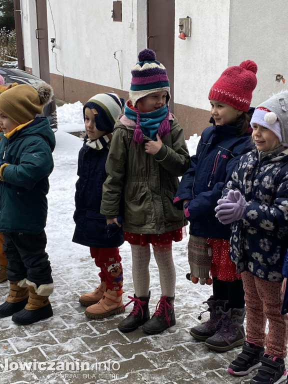 Spotkanie z alpakami w Przedszkolu w Popowie
