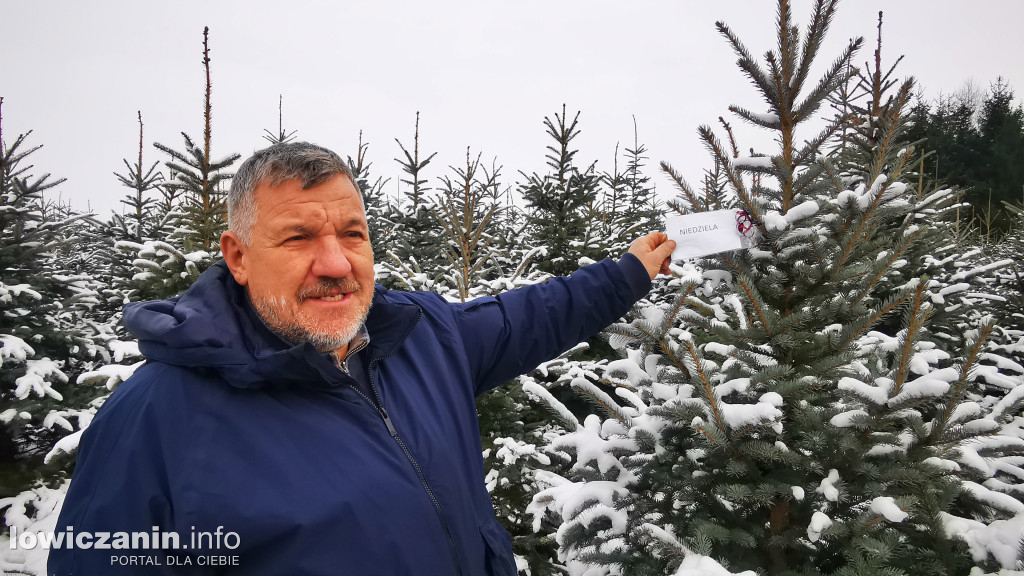 Z wizytą na plantacji choinek w Sypniu