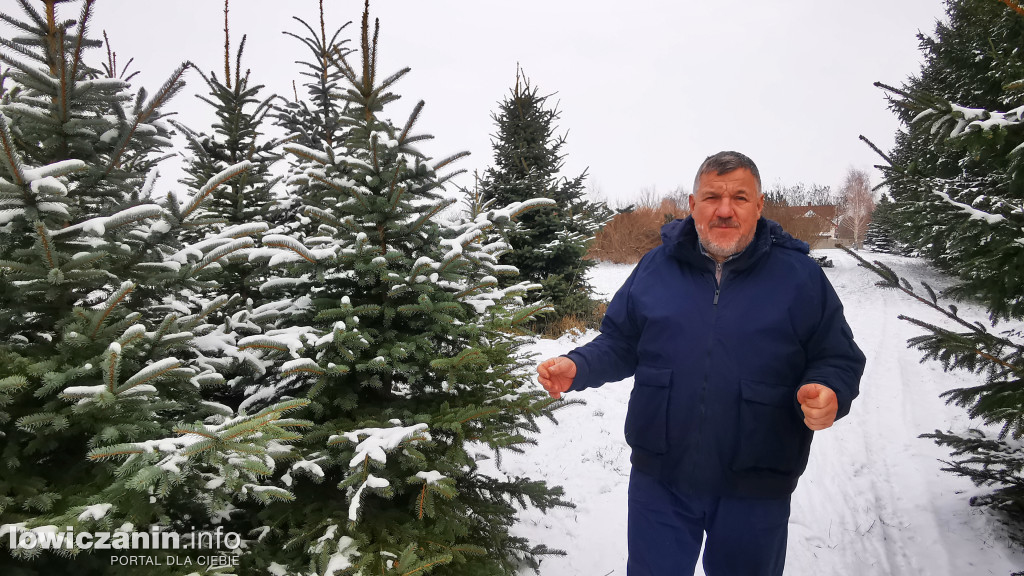 Z wizytą na plantacji choinek w Sypniu