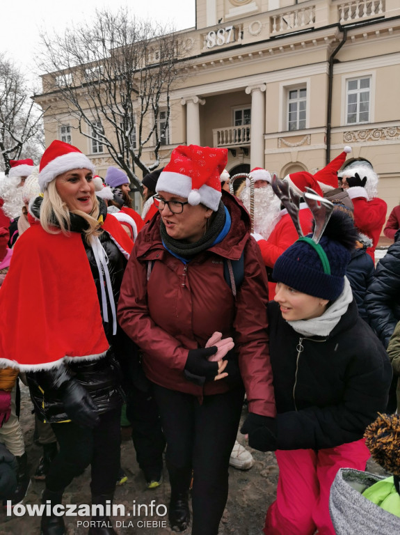 Choinka Miejska 2023
