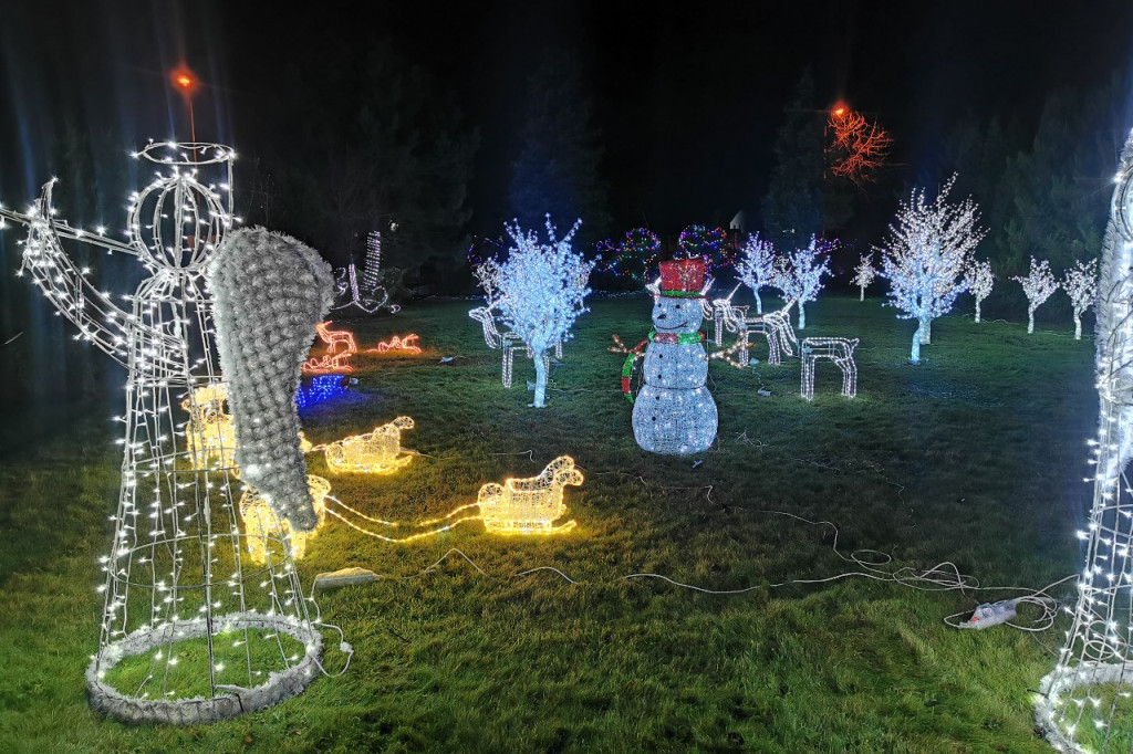 Iluminacje w ogrodzie Państwa Tadeusiaków w Łowiczu