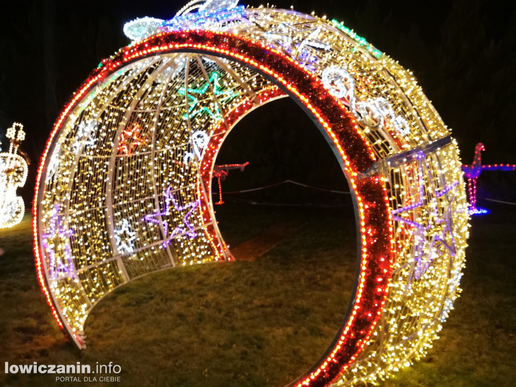 Iluminacje w ogrodzie Państwa Tadeusiaków w Łowiczu