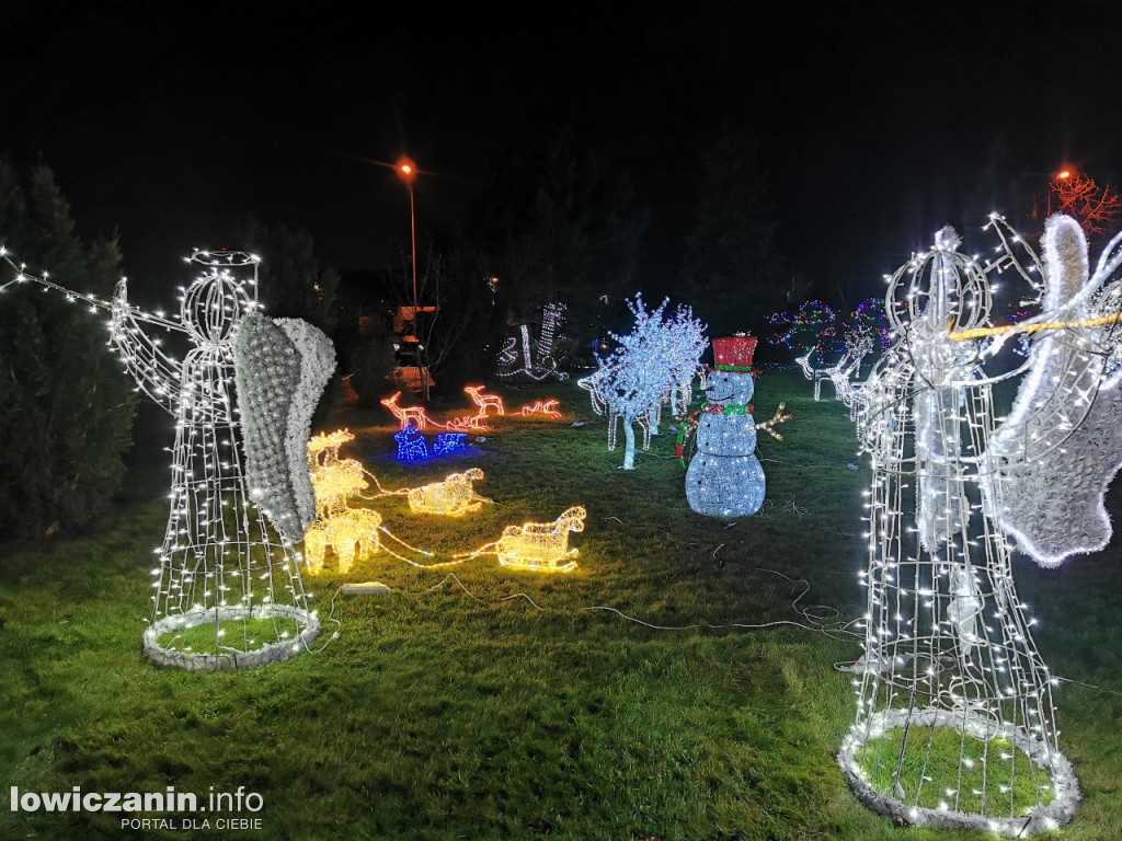 Iluminacje w ogrodzie Państwa Tadeusiaków w Łowiczu