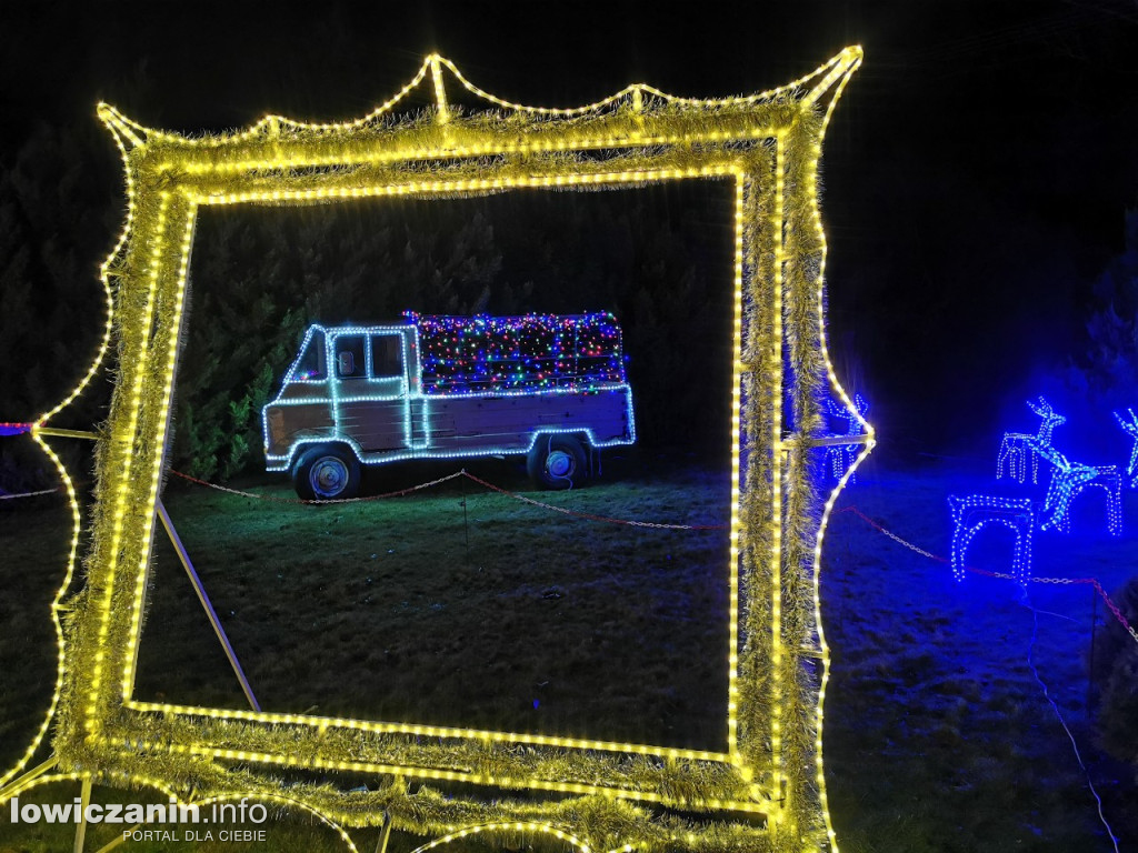 Iluminacje w ogrodzie Państwa Tadeusiaków w Łowiczu