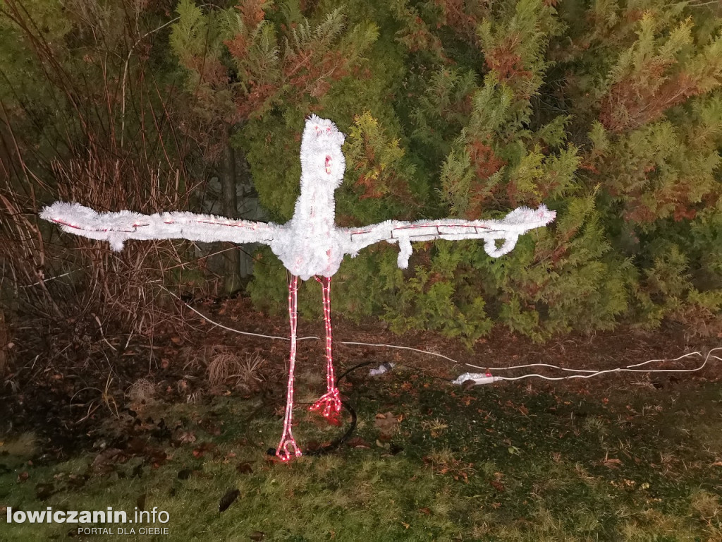 Iluminacje w ogrodzie Państwa Tadeusiaków w Łowiczu