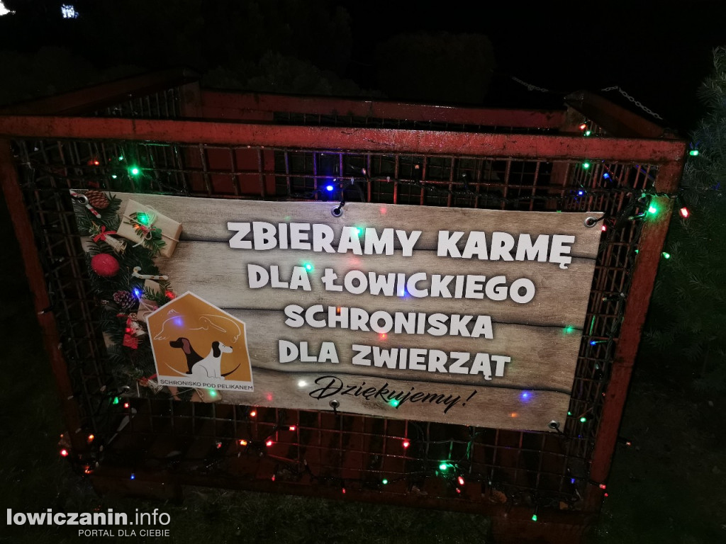 Iluminacje w ogrodzie Państwa Tadeusiaków w Łowiczu