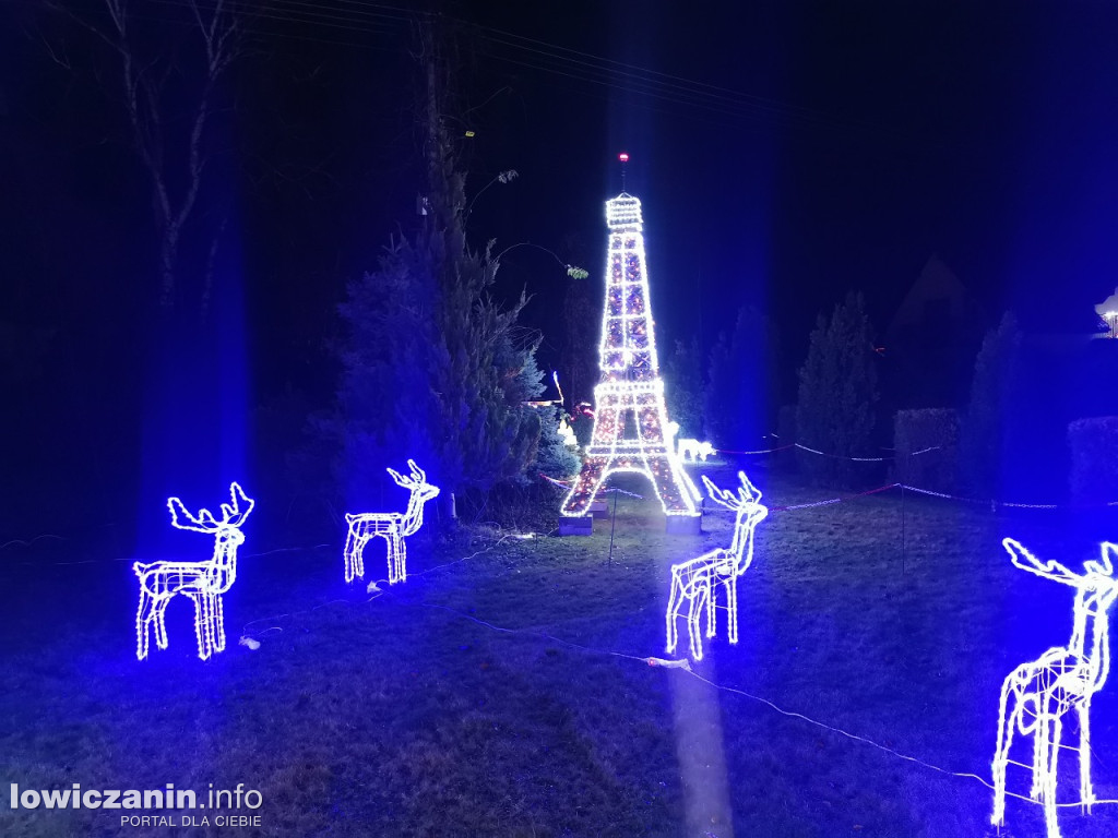 Iluminacje w ogrodzie Państwa Tadeusiaków w Łowiczu