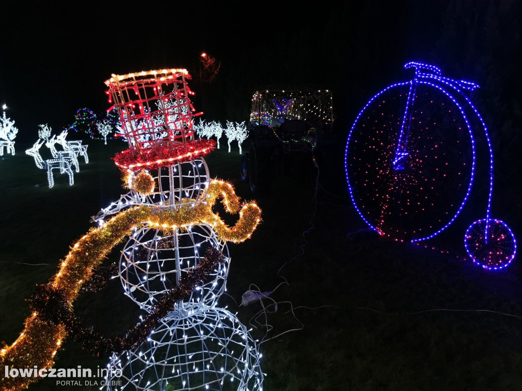 Iluminacje w ogrodzie Państwa Tadeusiaków w Łowiczu