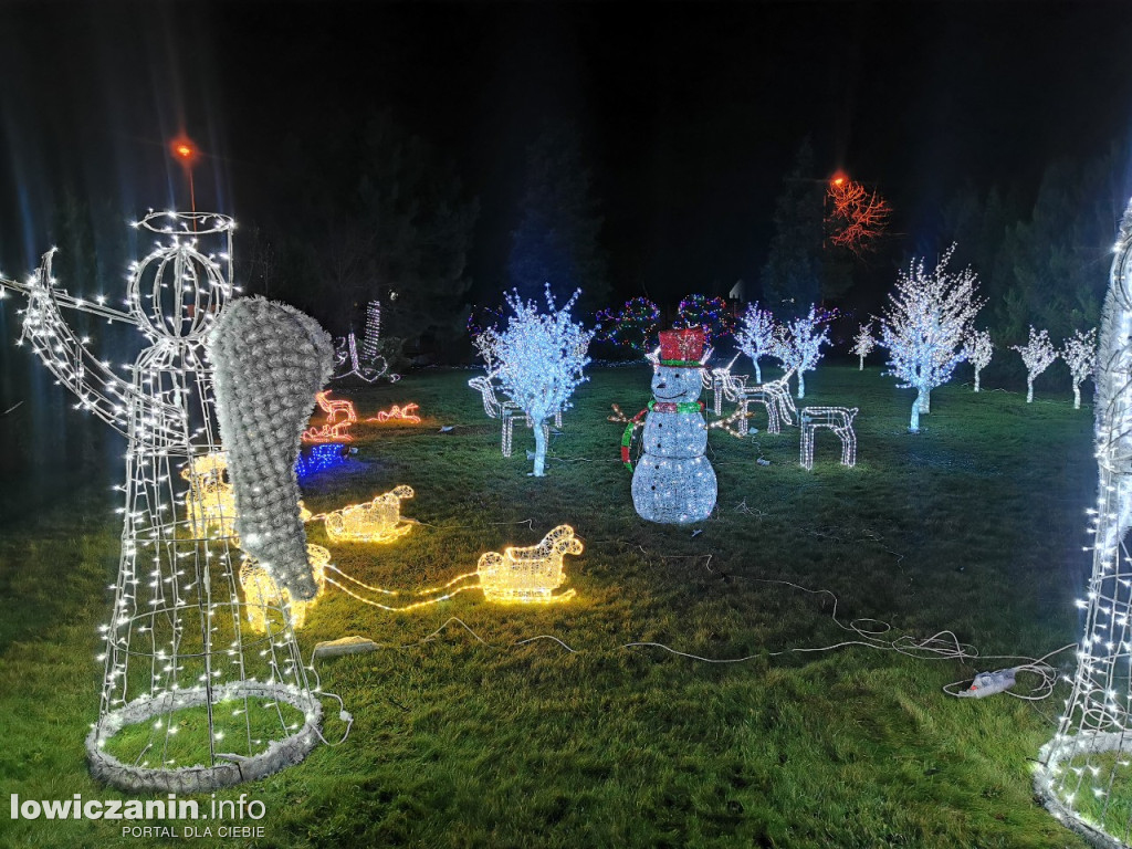 Iluminacje w ogrodzie Państwa Tadeusiaków w Łowiczu