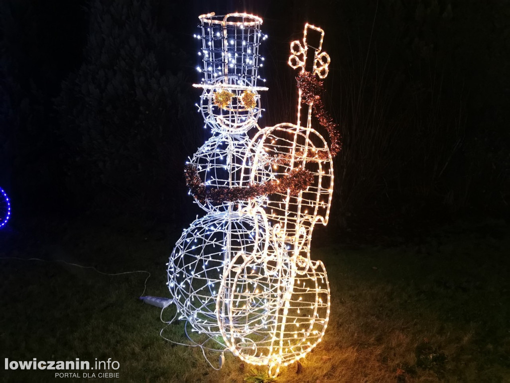 Iluminacje w ogrodzie Państwa Tadeusiaków w Łowiczu