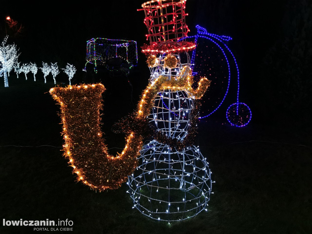 Iluminacje w ogrodzie Państwa Tadeusiaków w Łowiczu