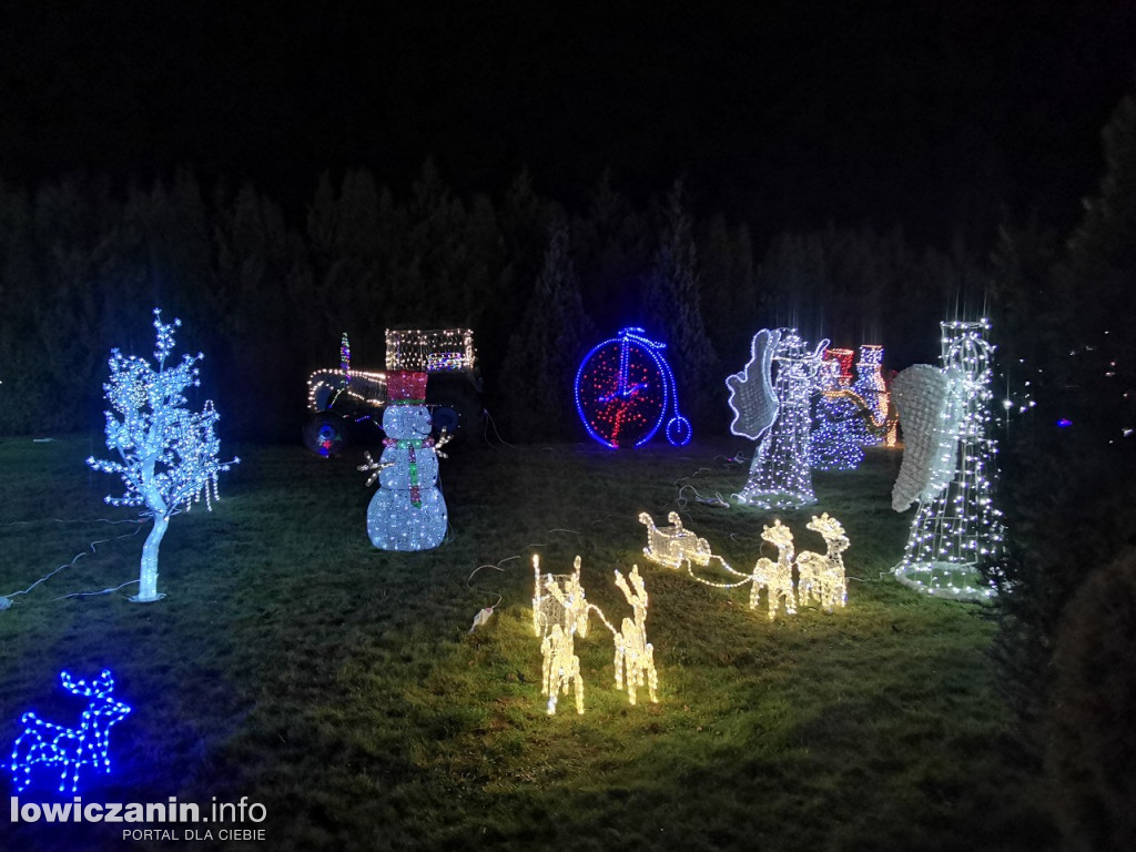 Iluminacje w ogrodzie Państwa Tadeusiaków w Łowiczu
