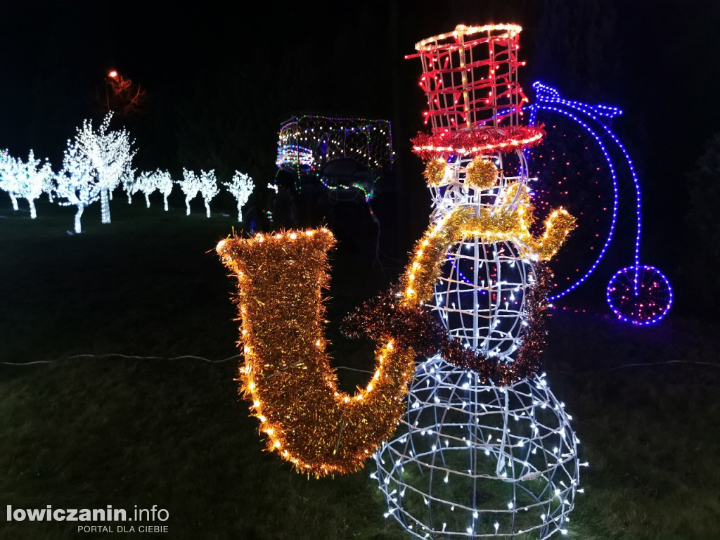 Iluminacje w ogrodzie Państwa Tadeusiaków w Łowiczu