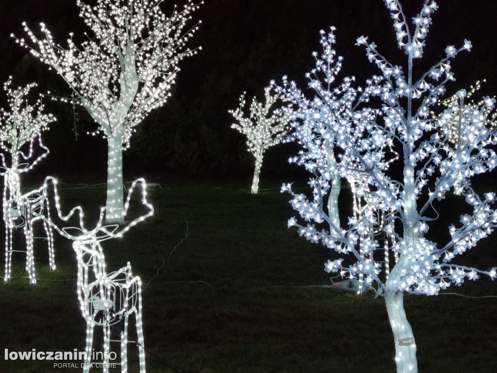 Iluminacje w ogrodzie Państwa Tadeusiaków w Łowiczu