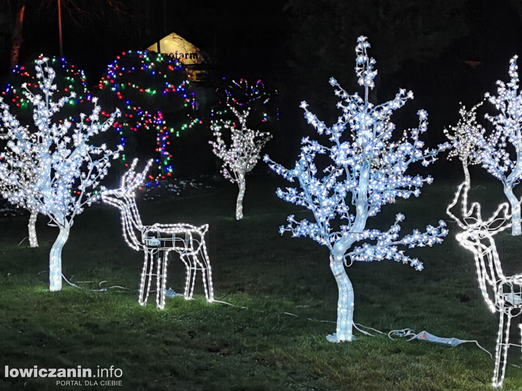 Iluminacje w ogrodzie Państwa Tadeusiaków w Łowiczu
